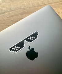Internet Meme Premium Vinyl Stickers Take Down What Boss TikTok Glasses 4 inches