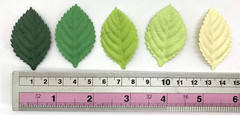 Handmade 100 Pcs Mixed Leaves 45X29Mm Mulberry Paper Leaves Scrapbooking Wedding