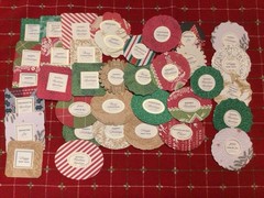Anna Griffin “Christmas in July” Cartouche Embossed Sentiments st of 36 NEW
