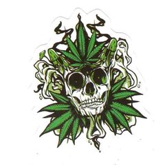 Stickers for Water Bottles, 420 Stickers for Teens Adults, Vinyl Waterproof