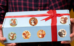 500PCS Cute Squirrel Stickers for Woodland Animals Birthday Party Favors