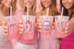 Pink Aesthetic | Cute Girly Stickers | Fashion & Beauty Sticker Set – 14 Piece