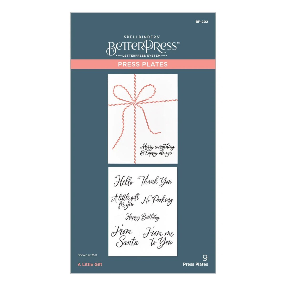 Spellbinders BETTER PRESS – PRESS PLATE – LITTLE GIFT -BP-202