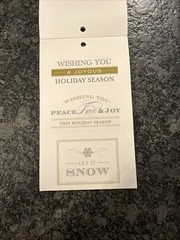 Anna Griffin Winter Wonderland Vellum Quote Stickers Used