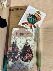 Blind Date with a Fiction book kit,Perfect gift for her or yourself