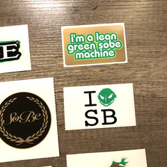 Vintage Sobe Stickers Lizard Original Decals Skateboard Motorcycle Bike Y2K 90s