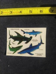Vintage 1985 Weekly Reader Shark Stick-ons Sheet