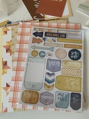 Cocoa Daisy Planner Scrapbook Accessories As Pictured Used