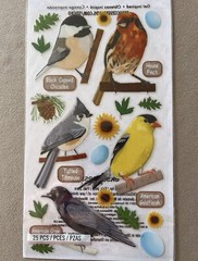 Sheet Of Sticko “Top US Birds” Stickers~Includes 25 Stickers, New In Package