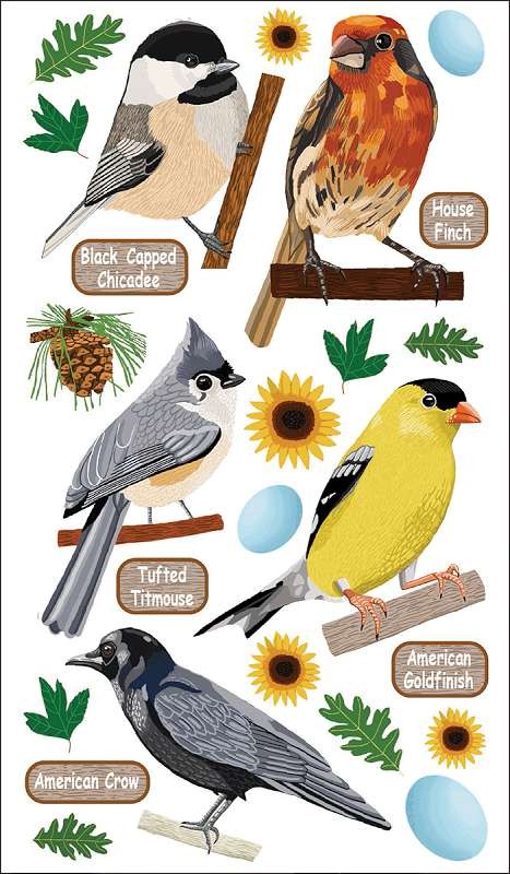 Sticko Stickers Top U.S. Birds 1