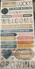 Thickers~Paige Evans HOME SWEET HOME Stickers~Foil Foam Phrases~Quick Ship~Cute!