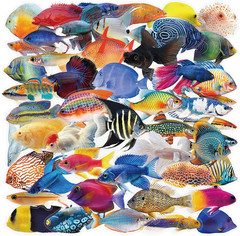 50PCS Clear Tropical Marine Life Ocean Stickers PET Fish Aesthetic Sticker for J