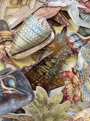 CREATURES OF THE SEA Die-Cuts (6pc)Ocean•Fish•Shells•Seahorse •Turtle•Glittered•