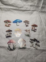 Mushroom Assorted Lot Of Ephemera For Junk Journaling Or Paper Crafting