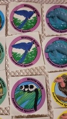 Vintage 1994 Special Expressions Endangered Species 32 Stickers Panda Seal Frog