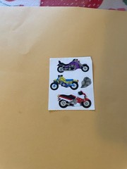 Vintage 1980s Sandylion Foil Motorcycle Stickers