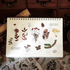Plant Themed Washi Stickers for Journaling Scrapbooking Planner Sticker Ephemera