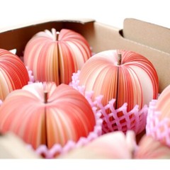 2PCS/Set Cute Fruit Memo Pad Apple Pear Shaped Note Paper School Supplies DIY
