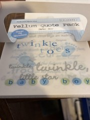 Colorbok Vellum Quote Pack Stack “Baby Boy” 24 Sheets Scrapbook Over 70 Quotes
