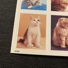 Lot Of 4 Vintage Cat Sticker Sheets Hallmark AGC Dennison Loose Complete Kittens