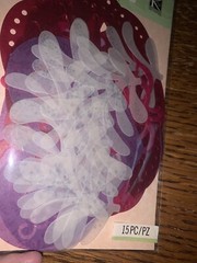 K&Company Susan Winget Die Cut Velum Ocean Plants Sea Scrapbook Stickers