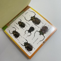 Beetle and Stag Beetle Japanese Stickers book 275 Stickers Shogakkan Neo JP