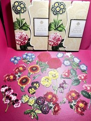 Anna Griffin More Flower Pot 30 PCS Diecuts – Colorful & Retired + Bonus & More!