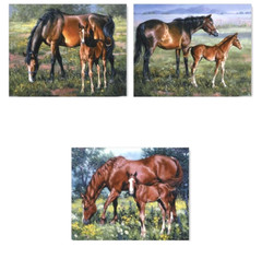 6 BEAUTIFUL HORSE HORSES & COLTS EQUESTRIAN STICKERS 3 DESIGNS USA MADE #28b