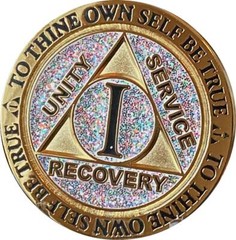 1 Year AA Medallion Reflex Birthday Funfetti Silver Glitter Gold Plated Chip