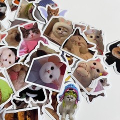 Cute Cat Sticker For packaging Random 2pc NEW from Japan 2枚セット　ステッカー　シール　かわいい