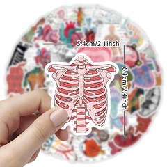 100PCS Cool Anatomy StickersBiology Anatomy Human Body Organ Stickers for St