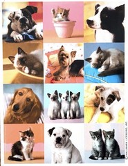 Vintage Hallmark Sticker Sheet Cats Kittens Dogs Puppies Photographic