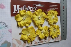 WILD ROSE – 6 Paper Flowers YELLOW – 3-4cm across Penny Lane Petaloo I
