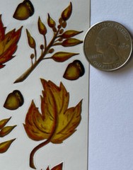 FALL LEAVES & CHESTNUT￼ Sticker(18pc)Stickabilitie•Chestnut •Autumn•Tree•Falling