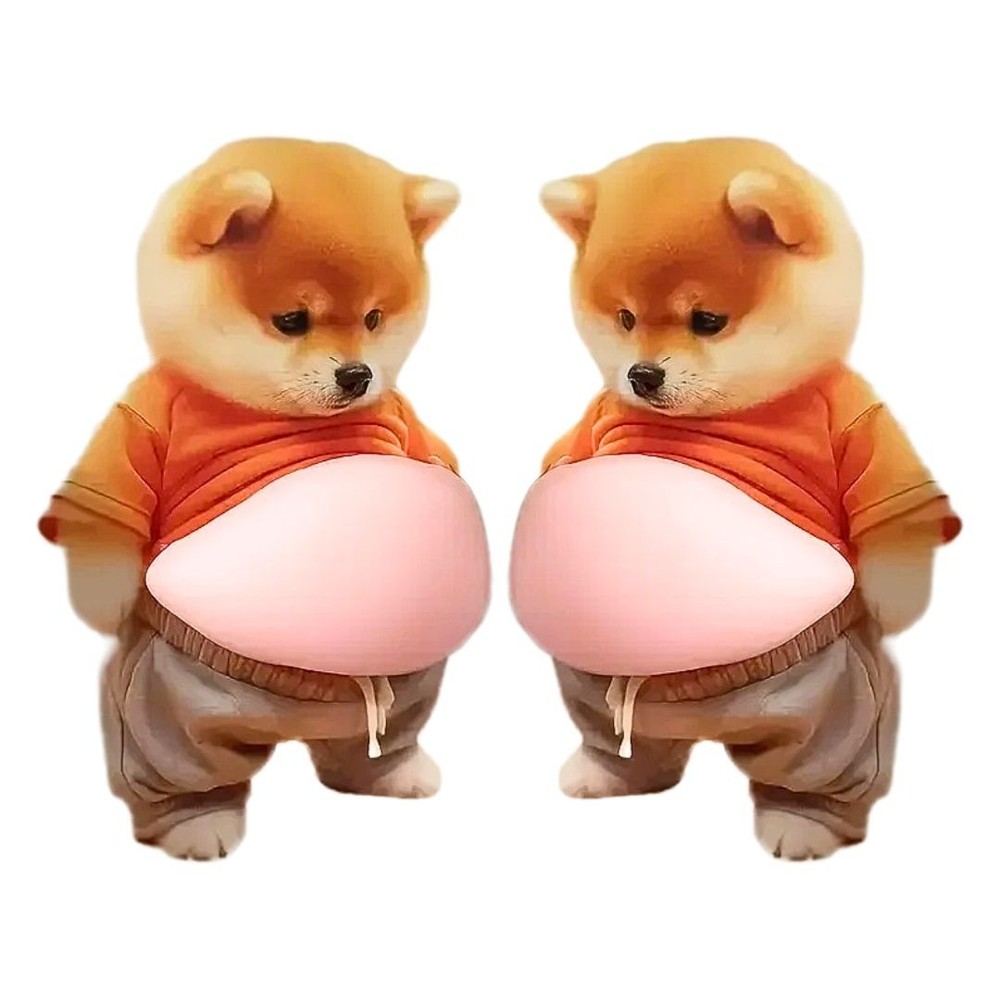 Shiba Inu 3D Squishy Puffy Sticker Kawaii Dog Silicone Decal Japan Cute 5Pcs Set