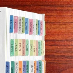 Laminated Bible Tabs, Reposition Large Print Stickers, Easy to Large, Uniform