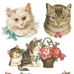 Violette Stickers – 1 Classic Vintage Cats Sticker Sheet – Scrapbooks Stationery