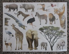 New Scrapbooking Stickers ZOO SAFARI hyena lion meerkat rhino elephant giraffe