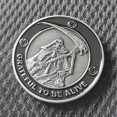 Grateful to Be Alive Sobriety Chip AA Coins and Medallions Recovery Anniversa…