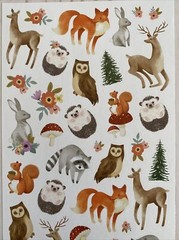 Stickers Woodland Animals Matte Finish Paper Raccoon Hedgehog Owl Deer Squirrel