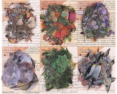 Nature Themed Transparent Pre-Cut Stickers for Scrapbooking, Pack Multicolor