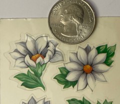 WHITE FLOWER Mylar Stickers(6pc) Frances Meyer•Garden•Blooms •Leaves•