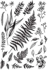 4pc Hummingbird & Plant Clear Rubber Stamp Set for Scrapbooking Card Making