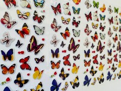 269+ STICKERS Star Heart Animal Rainbow Smiley Face Bird Water Sea Life
