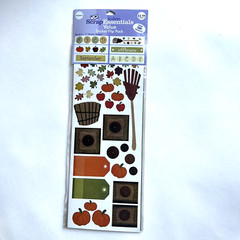 Jo Ann Scrap Essentials Autumn Fall Sticker Flip Pack Scrapbooking Cardmaking