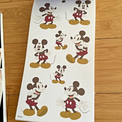 The Happy Planner – Disney – Mickey & Minnie Mouse Calendar Stickers 2
