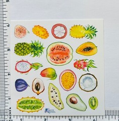 Violette Stickers Tropical Exotic Fruit Food Crafts Planner Supply Scrapbook