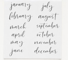 Happy Planner 101 Removable Calendar Decals Calligraphy Stickers Months Holidays