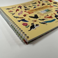 Creative Spark by Cupkin Bird Sticker Activity Book for Kids – 500+ Stickers NEW
