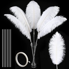 Soarer White Large Ostrich Feathers – 10Pcs 34inch Making Kit Extra Large Ost…